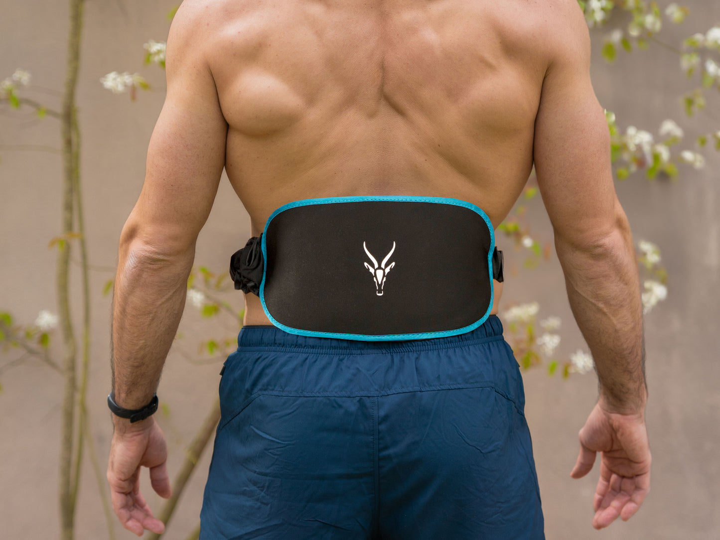 Core Fit II